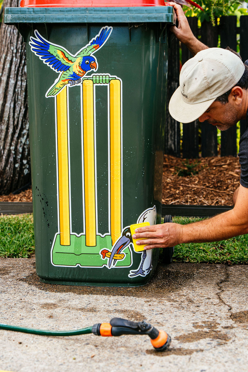 LORIKEET – “Colourful Chaos”