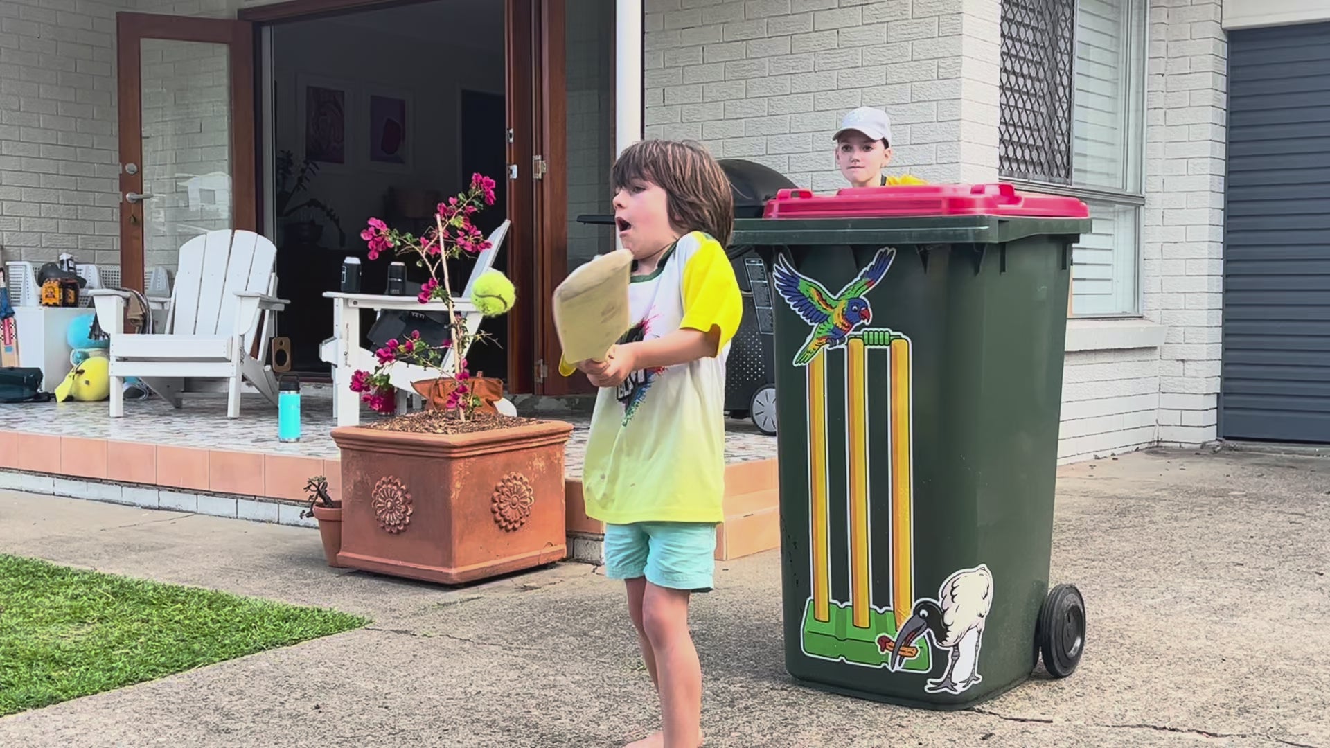 IBIS 1 – “Cheeky Chip Thief”