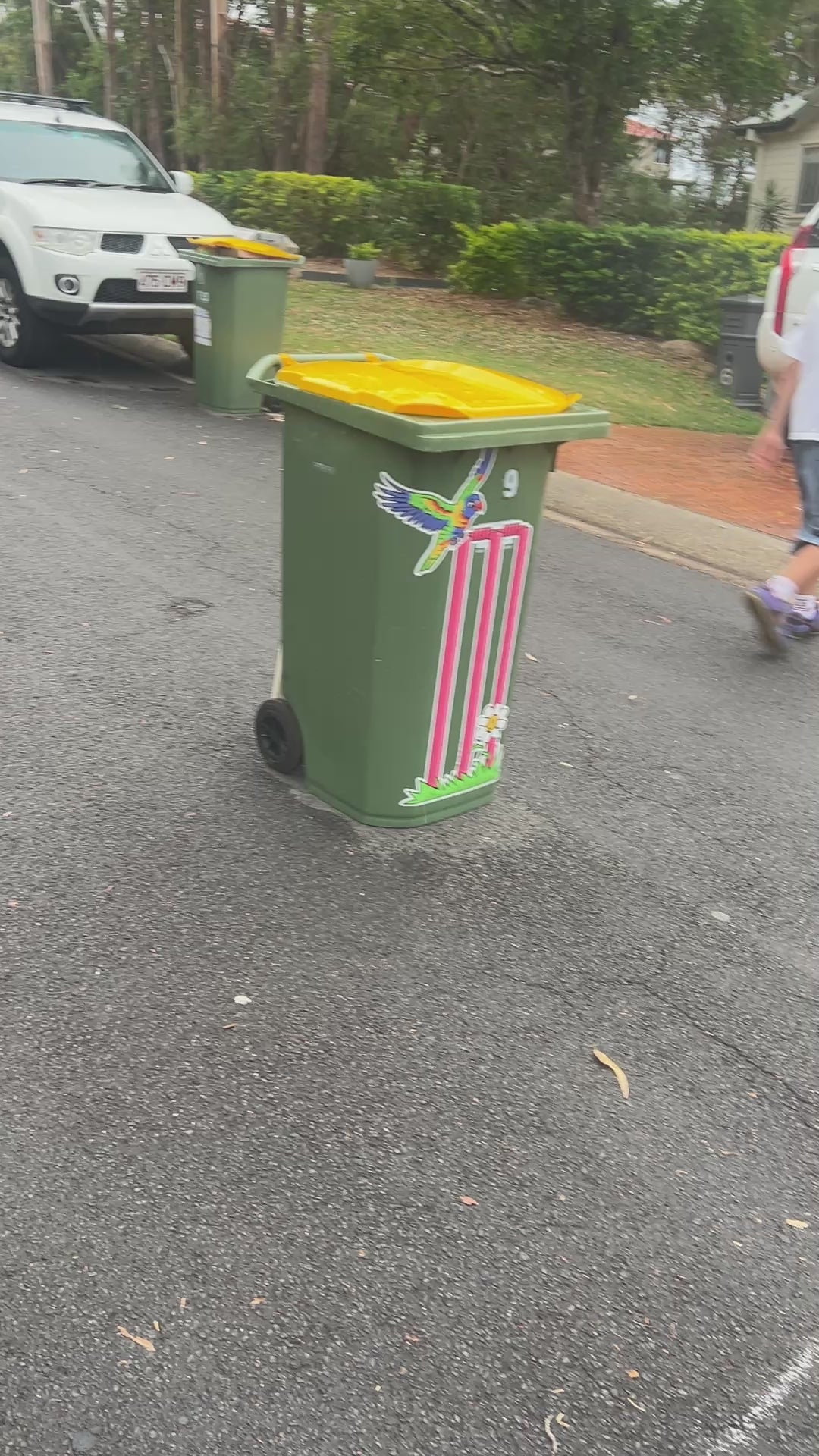 LORIKEET – “Colourful Chaos”